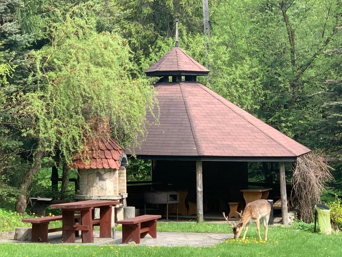 Bed and Breakfast Gosciniec Pod Smrekami Чорштын Экстерьер фото