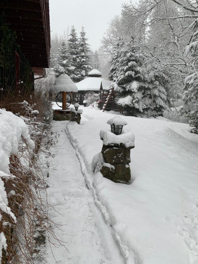 Bed and Breakfast Gosciniec Pod Smrekami Чорштын Экстерьер фото
